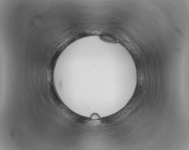 X0000115770374200912111111