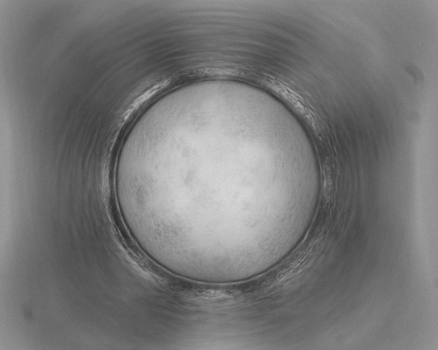 X0000115770390200912111111