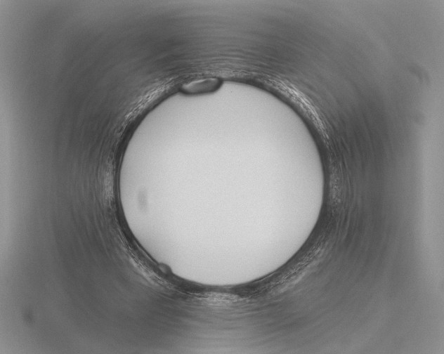X0000115770393200912111111