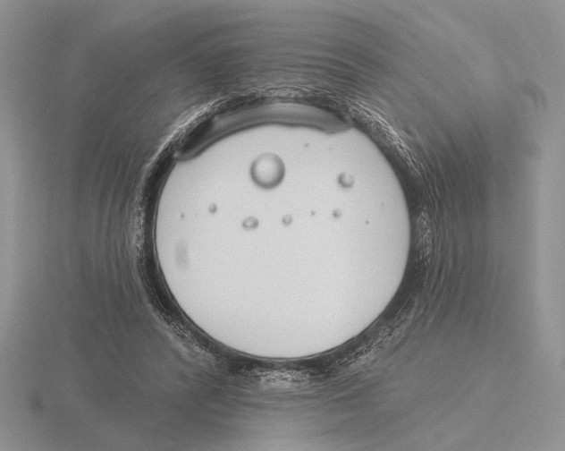 X0000115770400200912111110