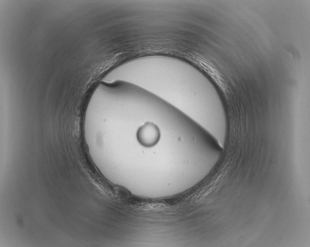 X0000115770401200912111110