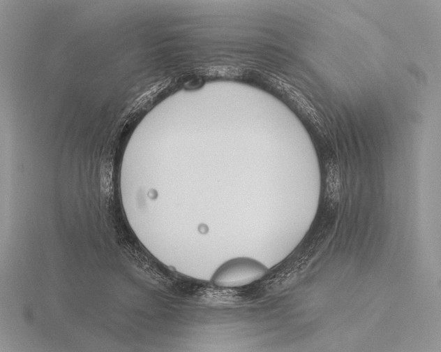 X0000115770403200912111110