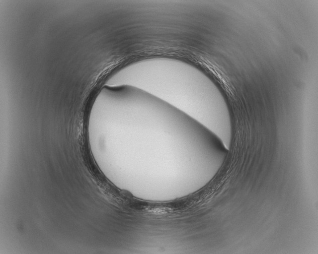 X0000115770407200912111110