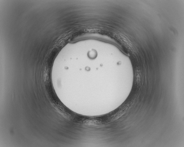 X0000115770408200912111110