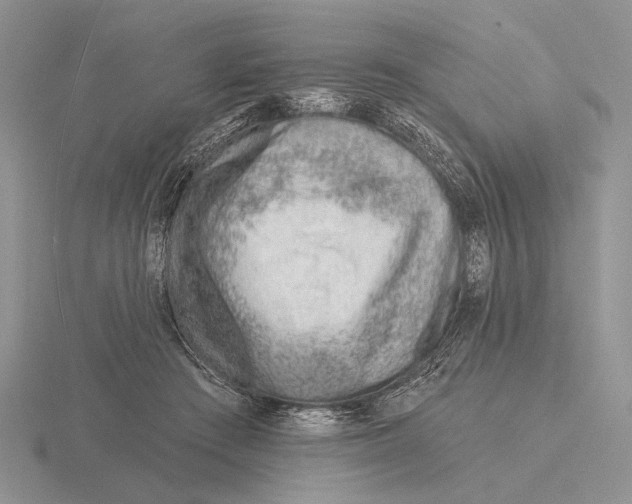 X0000115770409200912111110