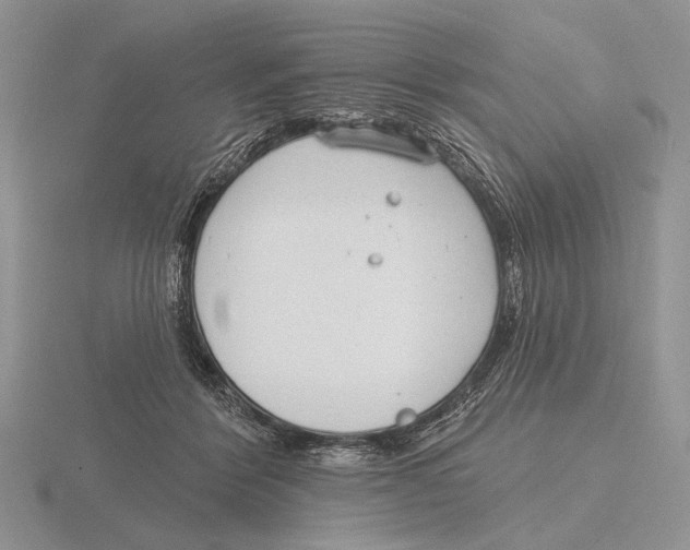 X0000115770412200912111110