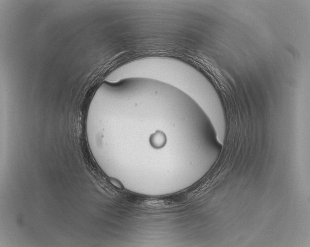 X0000115770413200912111110