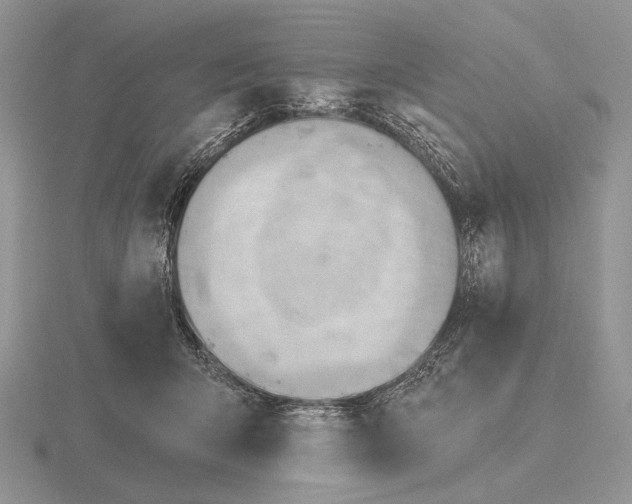 X0000115770415200912111110