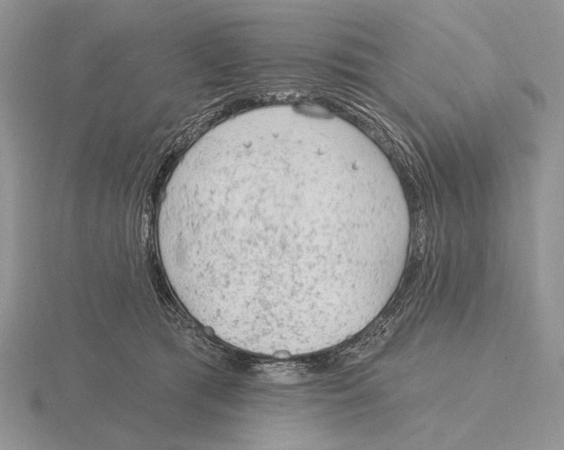 X0000115770417200912111110