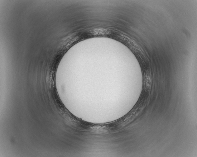 X0000115770422200912111110