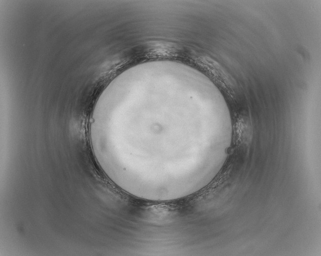 X0000115770423200912111110