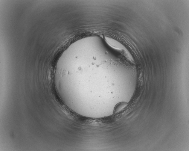 X0000115770424200912111110