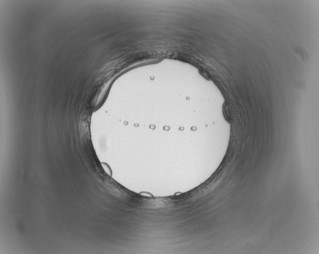 X0000115770432200912111110