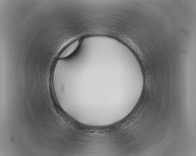 X0000115770434200912111109