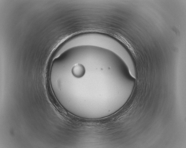 X0000115770436200912111110