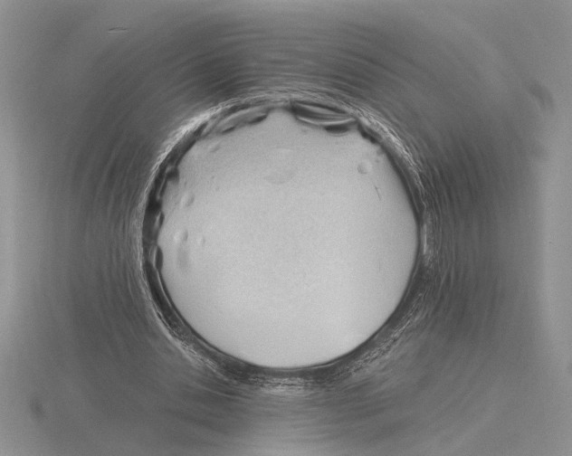 X0000115770438200912111110