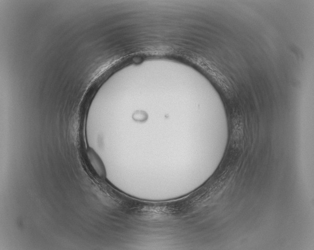 X0000115770440200912111110