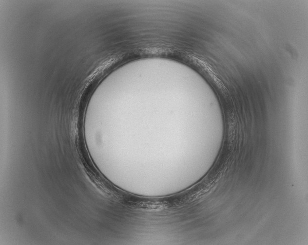 X0000115770443200912111110