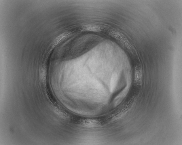 X0000115770444200912111110