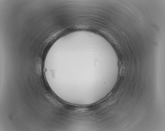X0000115770446200912111110