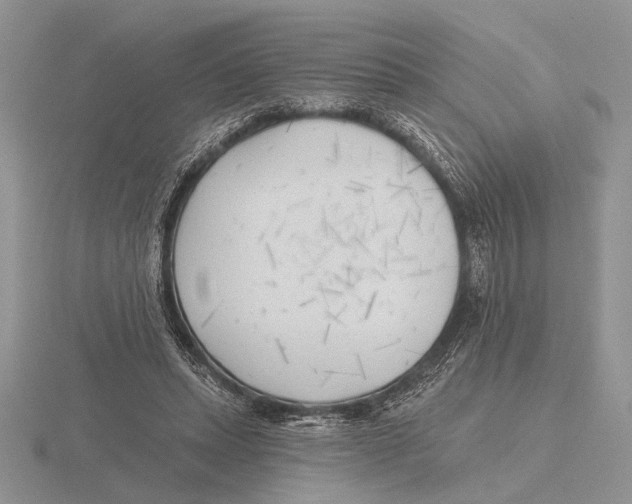 X0000115770447200912111110