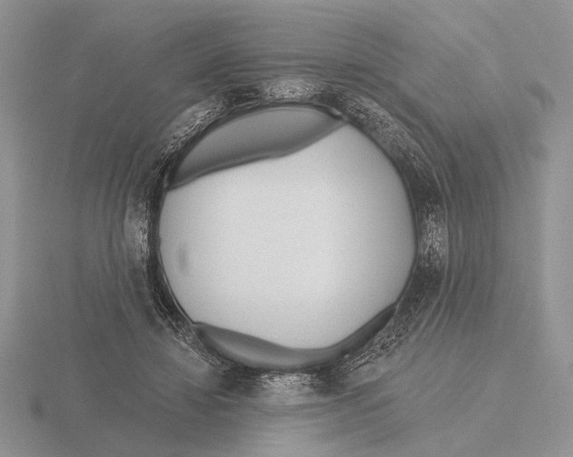 X0000115770452200912111110