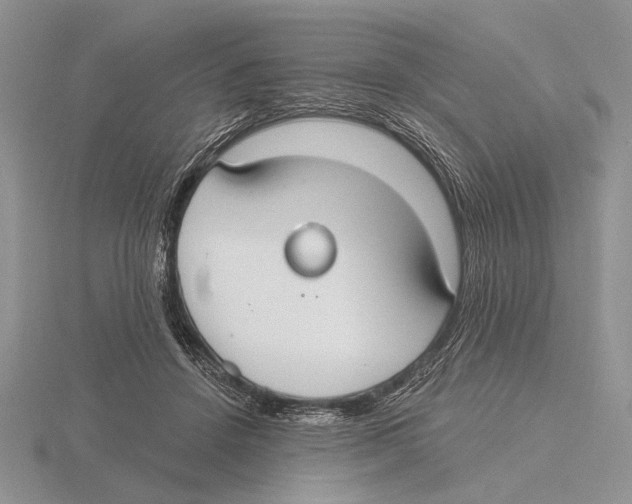 X0000115770456200912111110