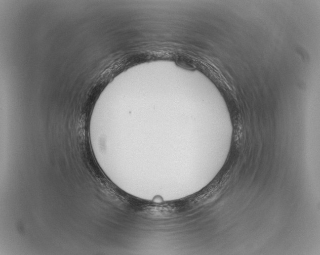 X0000115770466200912111110