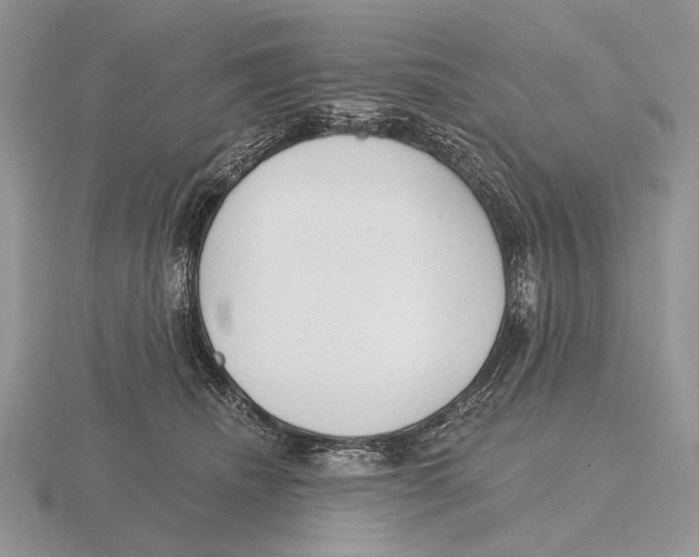 X0000115770468200912111110