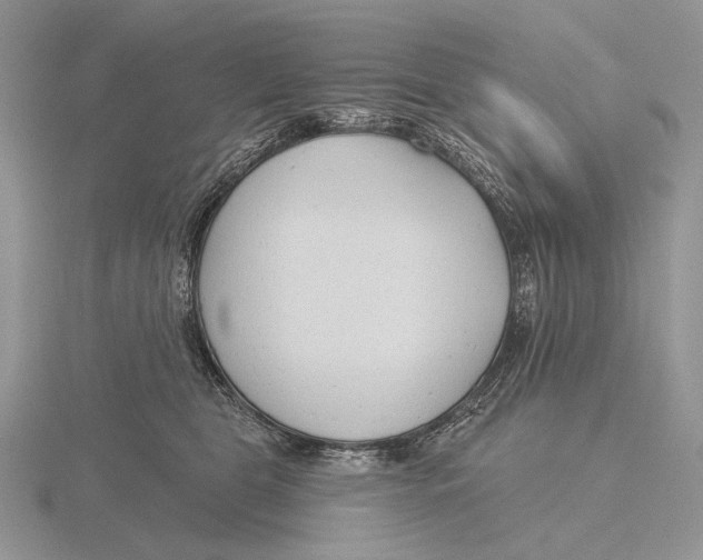 X0000115770469200912111110