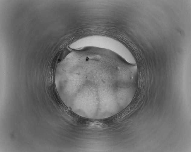 X0000115770471200912111110