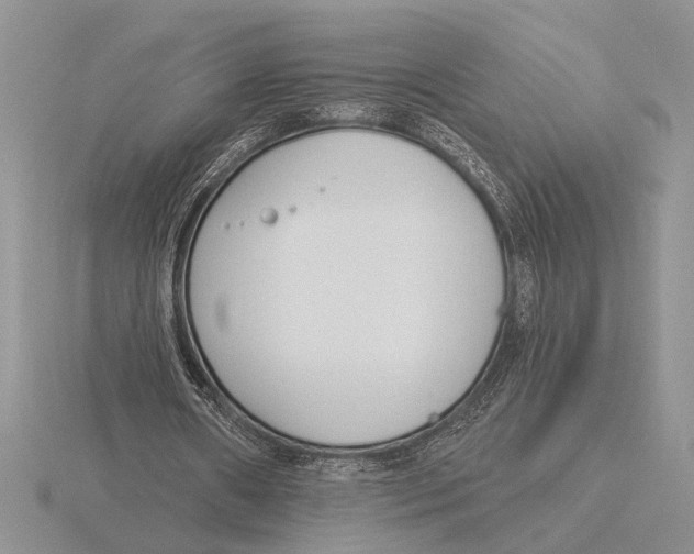 X0000115770482200912111109