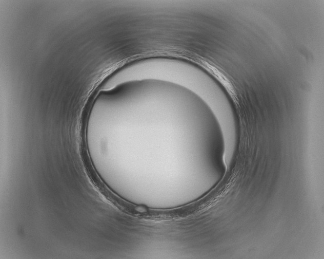 X0000115770485200912111109