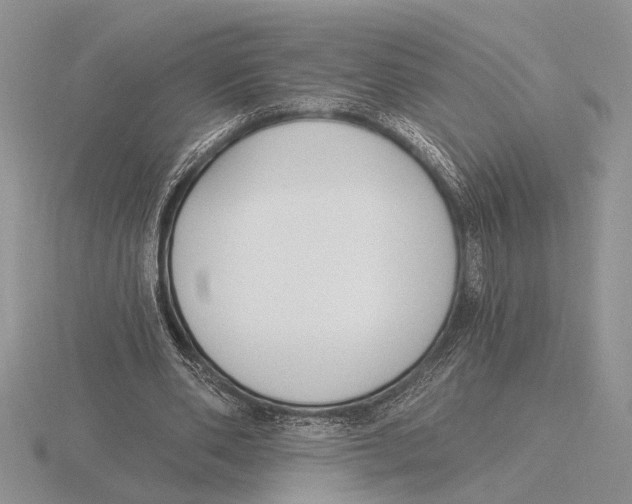 X0000115770486200912111109