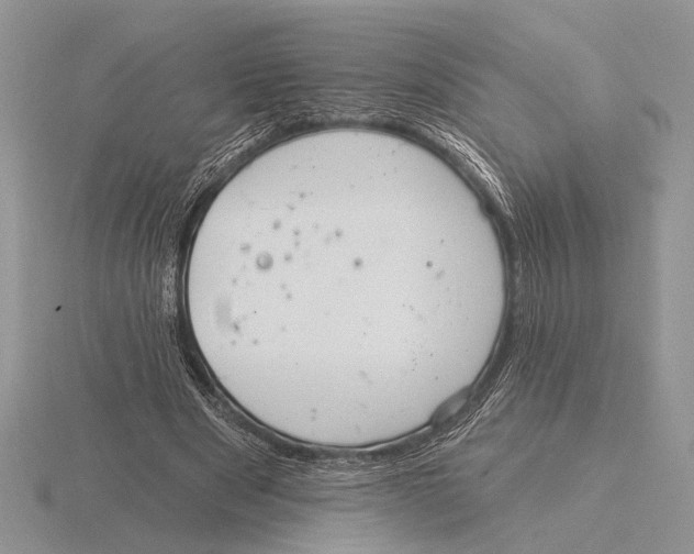 X0000115770489200912111109