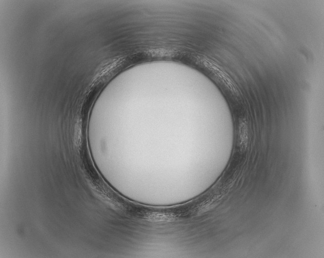 X0000115770494200912111109