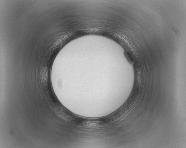 X0000115770495200912111109