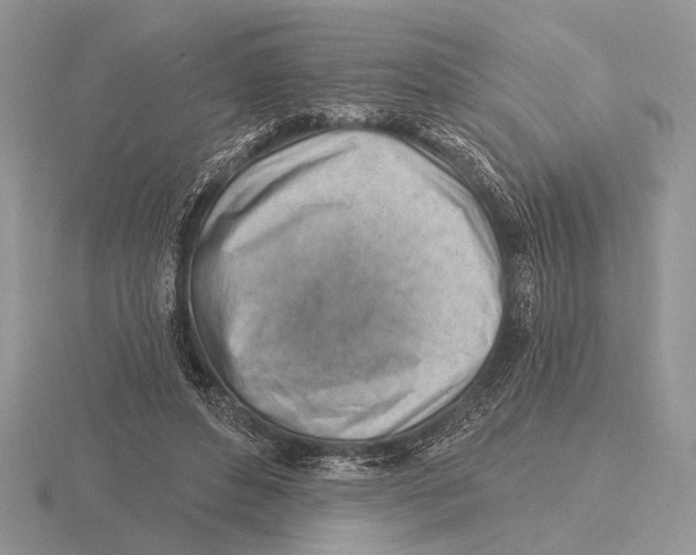 X0000115770496200912111109