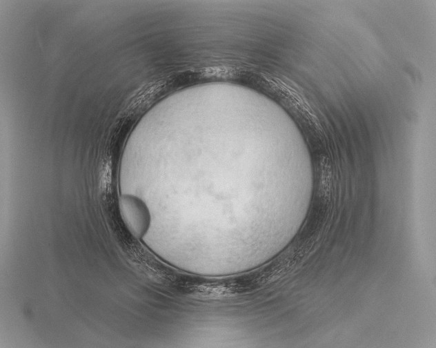 X0000115770502200912111109