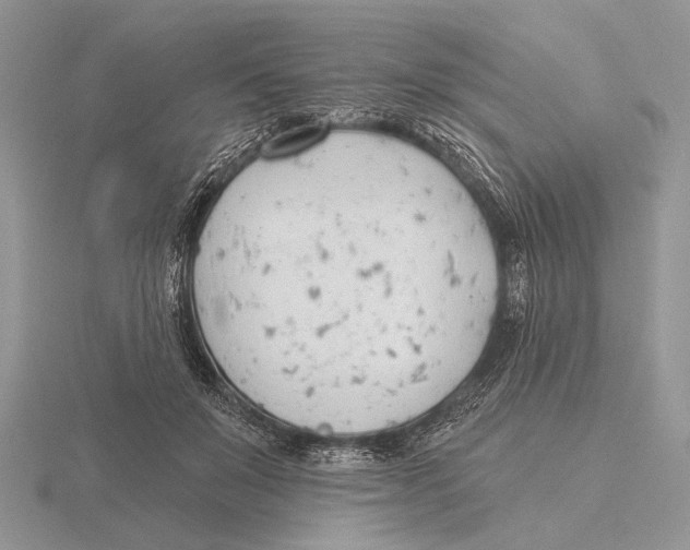 X0000115770503200912111109