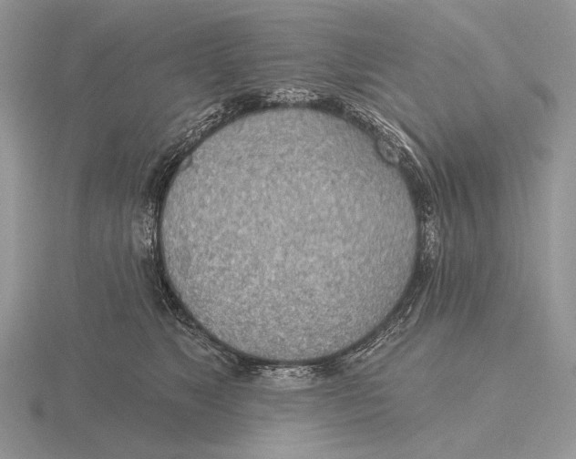 X0000115770517200912111109