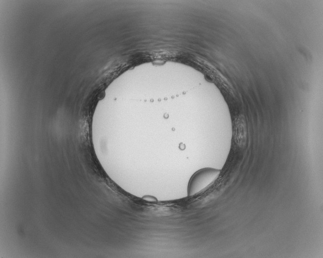 X0000115770523200912111109