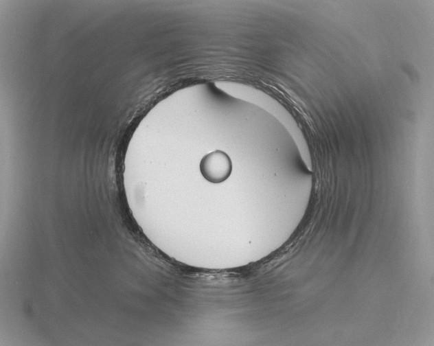 X0000115770524200912111109