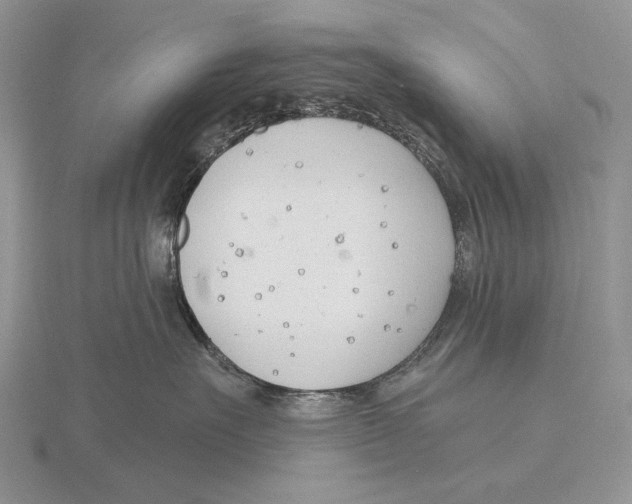 X0000115770527200912111109