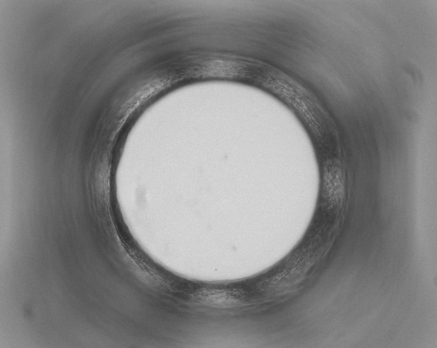 X0000115770534200912111108