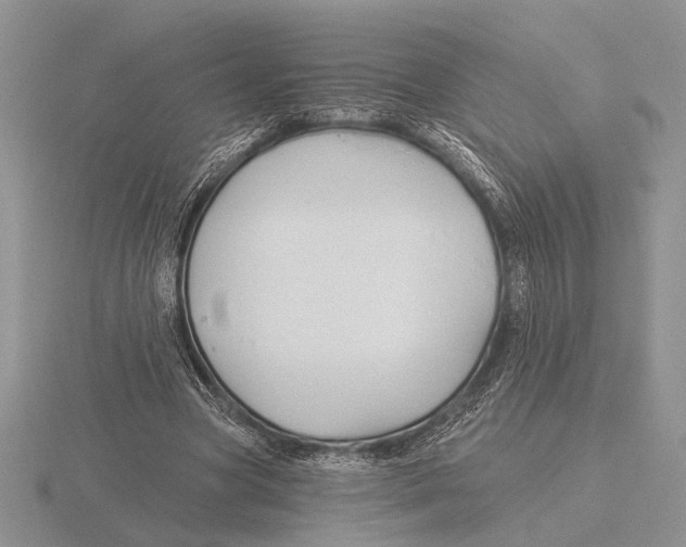 X0000115770537200912111108