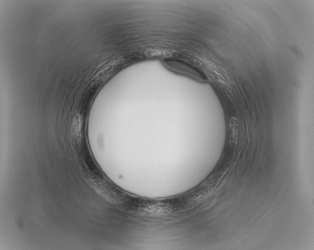 X0000115770550200912111109