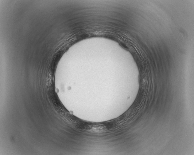 X0000115770555200912111109