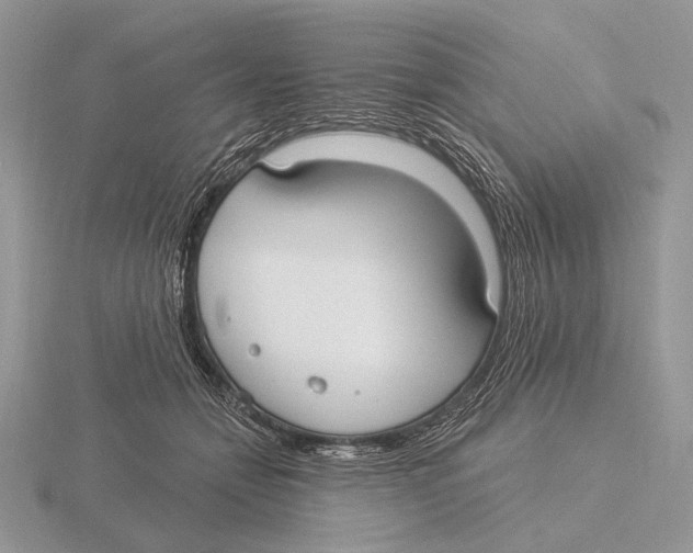 X0000115770558200912111109