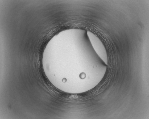 X0000115770562200912111109